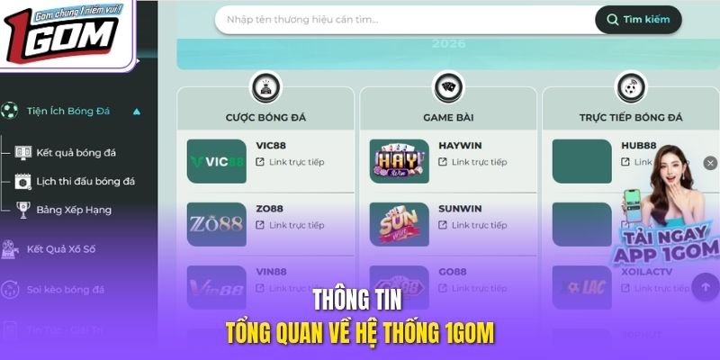 Thông tin tổng quan về hệ thống 1GOM